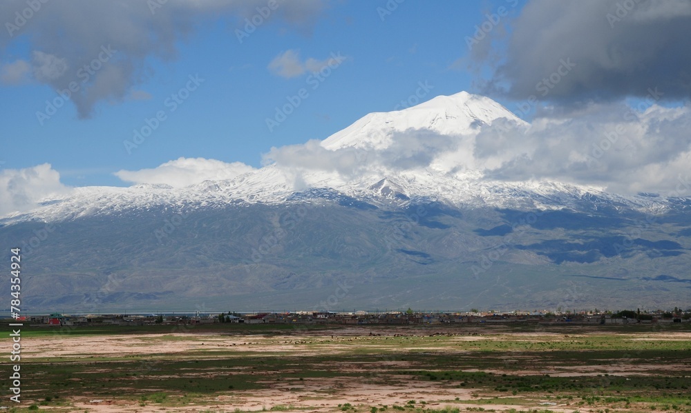 a small field in front of a mountain with grass and bushes under it a small field in front of a mountain with grass and bushes under it
