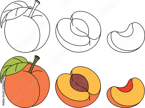 Peach Isolated Vector Illustration Coloring Page Hand Drawn for Kids