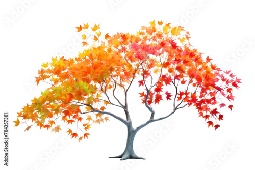 Anime style tree with colorful leaves Slender stem. Isolated on transparent background.