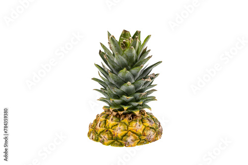 Cut pineapple stem. transparent background, ananas comosus