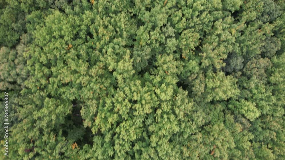 Drone view over the Raven rocks in West Virginia, USA, slow motion Drone view over the Raven rocks in West Virginia, USA, slow motion