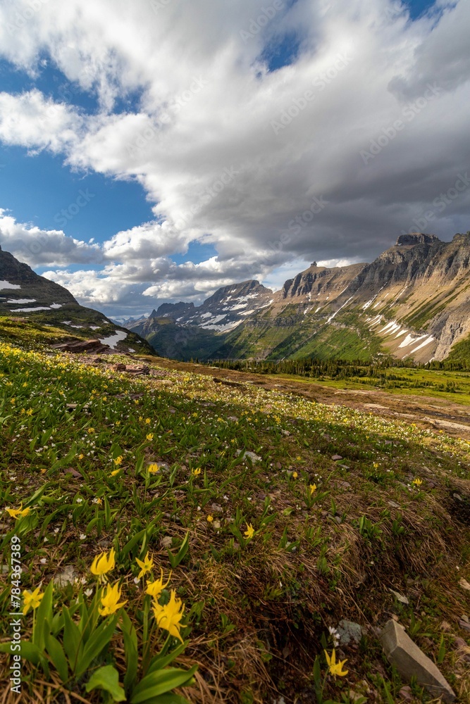 Fototapeta premium Low-angle shot of beautiful mountains in Glacier National Park, USA