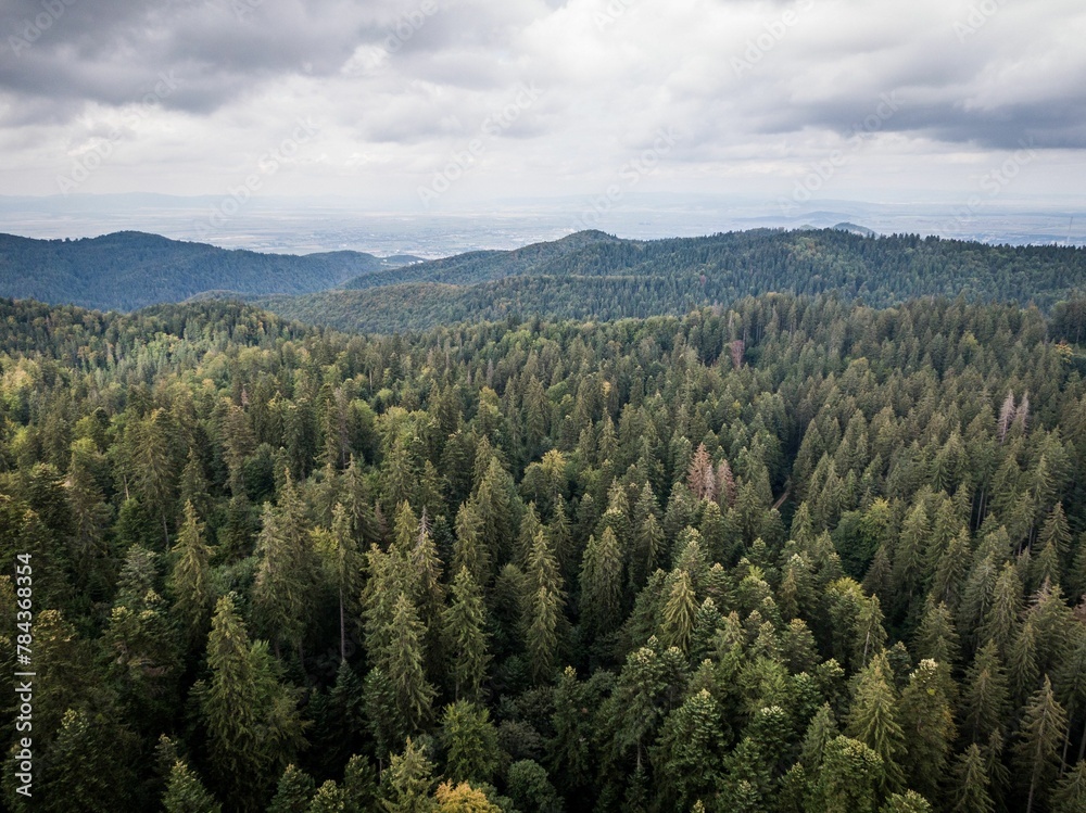 Aerial view of mountain forests Aerial view of mountain forests