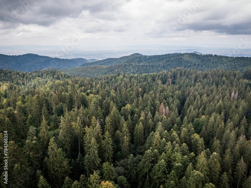 Aerial view of mountain forests © Wirestock