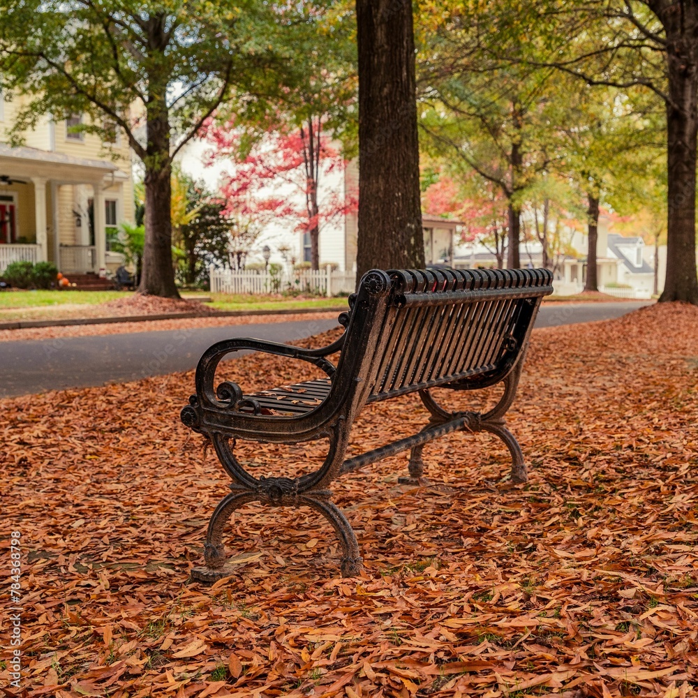 View of the bench in the autumn park