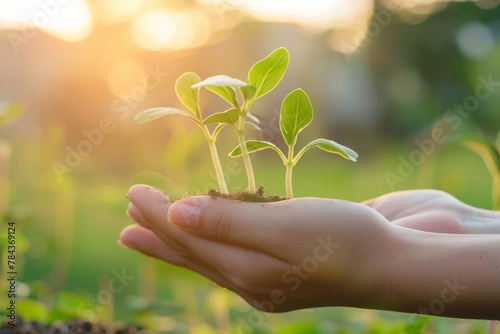  Seed and sprout in human hand partnership with nature