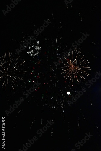 Vertical shot of fireworks in the night sky