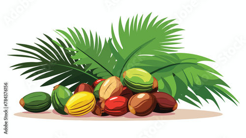 Areca catechu or betel nut is colorful in the garde photo