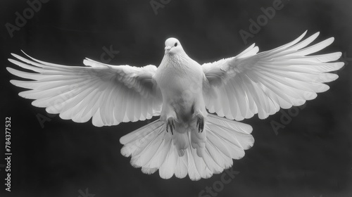 A white dove is flying in the sky. The image has a serene and peaceful mood  as the dove is a symbol of peace and freedom