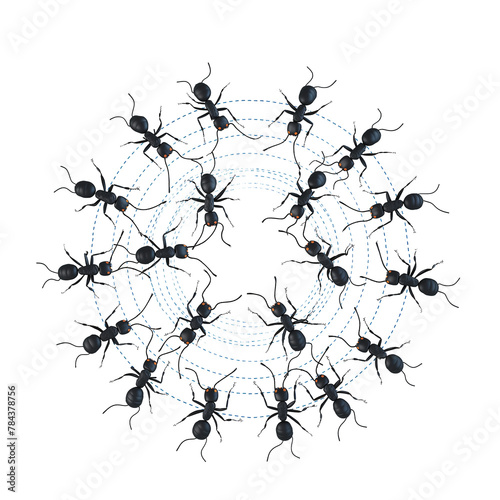 Teamwork, Black ant circle on transparent background