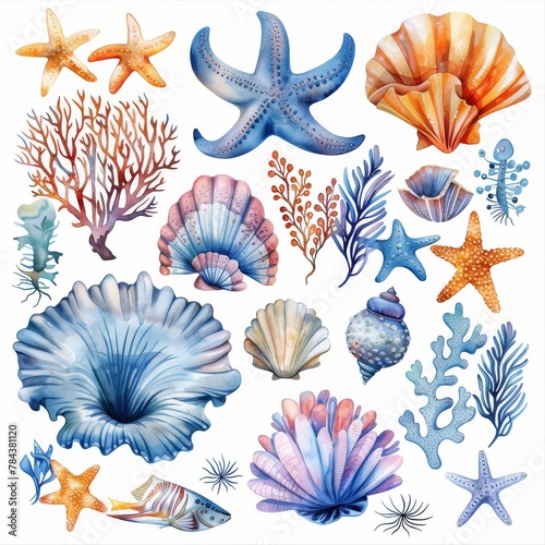 Hand painted marine life illustrations on a white background with stars, corals, algae in a marine style.