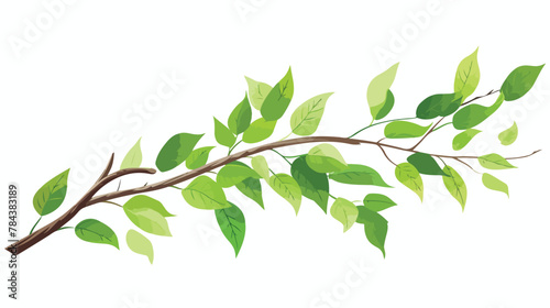 Branch with spring leaves isolated on white .. 2d flat