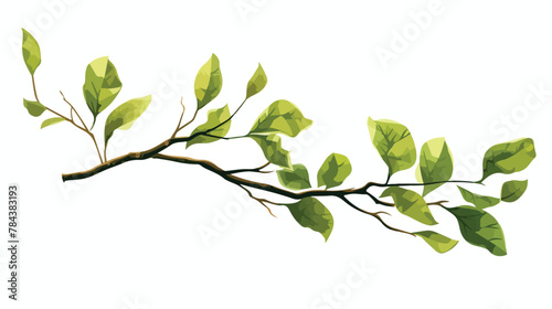 Branch with spring leaves isolated on white .. 2d flat