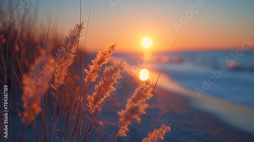 Strand, Ostsee, Sonnenuntergang photo