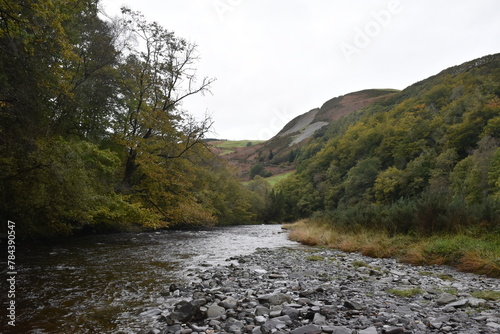 a walk along the ystwyth valley near Pont-rhyd-y-groes during autumn
