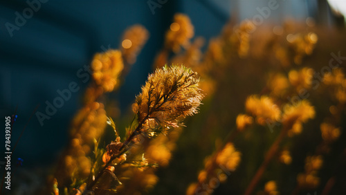 Abstract plant with golden branches on blue background.