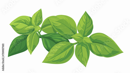 Fresh green basil leaves icon. Flat illustration of