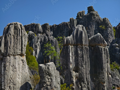 Shilin Stone Forest in Yunnan Province, a Unesco world heritage Geopark site in China.