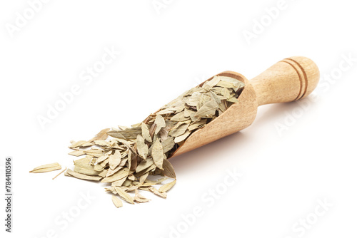 Front view of a wooden scoop filled with Organic Sanay or Senna (Senna alexandrina) leaves. Isolated on a white background. photo