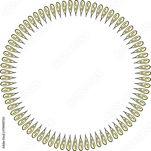 Round frame in stylish light yellow flower petals on white background. Vector image.