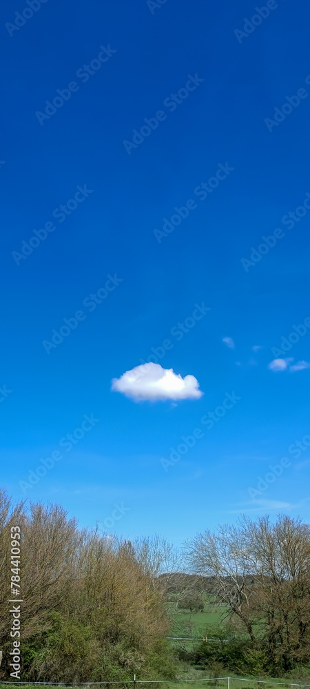 Fototapeta premium Blue sky background. Natural background. Panorama sky with tiny clouds
