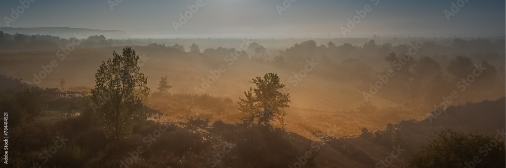 Landscape Landscape