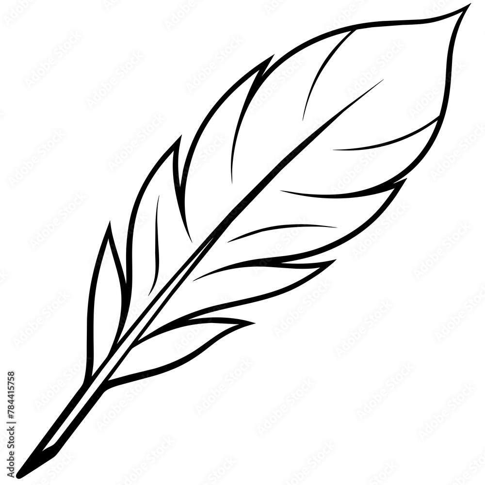 Fototapeta premium feather on white background. Line art kid's coloring page