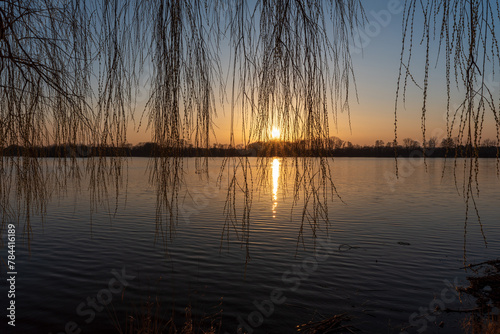 Sunset above pond with willow branches near Jistebnik in Czech republic