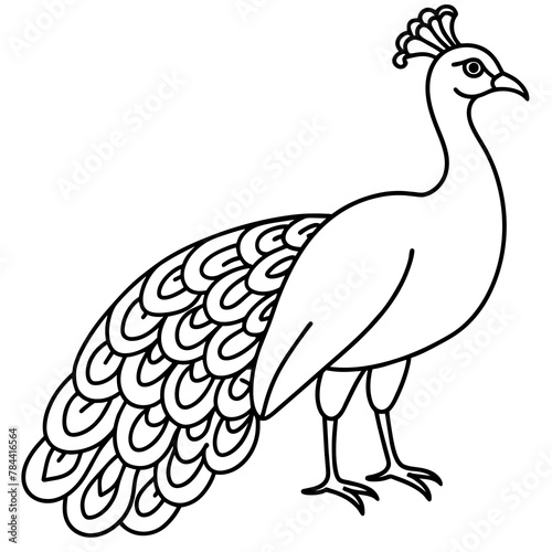 peacock cartoon line art. drawing coloring book pages for children and adults
