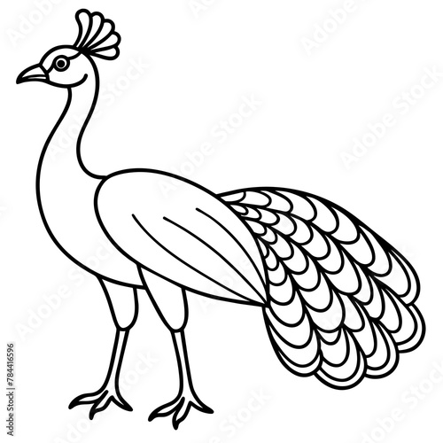 peacock cartoon line art. drawing coloring book pages for children and adults