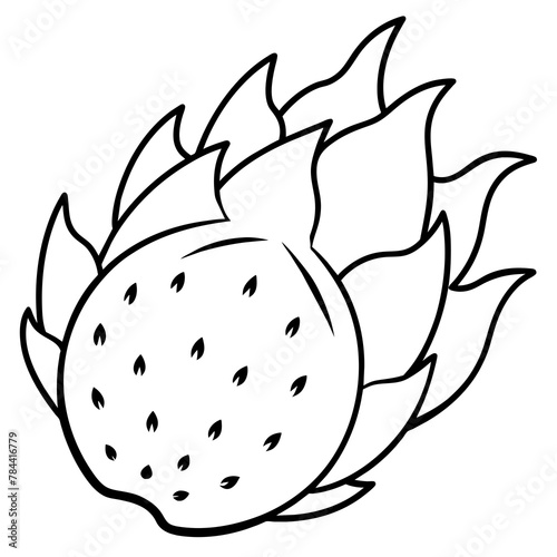 dragon fruit line art, drawing coloring book pages for children and adults