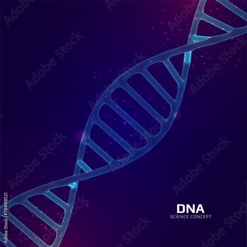Fototapeta Naklejka Na Ścianę i Meble -  Wireframe dna structure. 3D digital scientific genetic model. Vector illustration.
