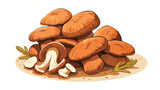 Hand drawn edible truffle mushrooms cartoon vector.