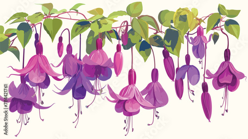 Hanging Fuschia Flower Clipart 2d flat cartoon vact