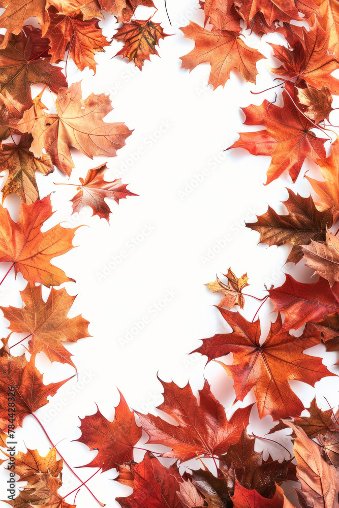 Creative use of maple leaves as frame border for graphic layouts.