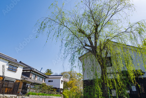 春の八幡堀（滋賀県近江八幡市）