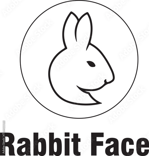 rabbit illustration © Rashail Fatima