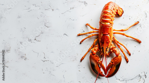 Top view of roasted lobster on a clean light background. Copy space, aesthetic restaurant template. Generative AI
