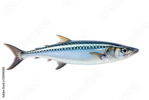 Majestic Fish Gliding Through Crystal Waters. On White or PNG Transparent Background.