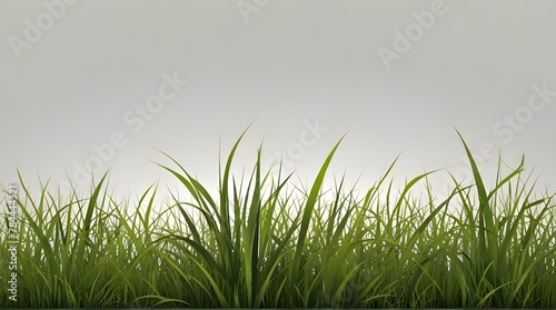 Vector Green Grass natural, organic, bio, eco label and shape on white background .Generative AI 