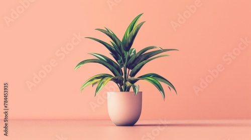 Potted plant on table