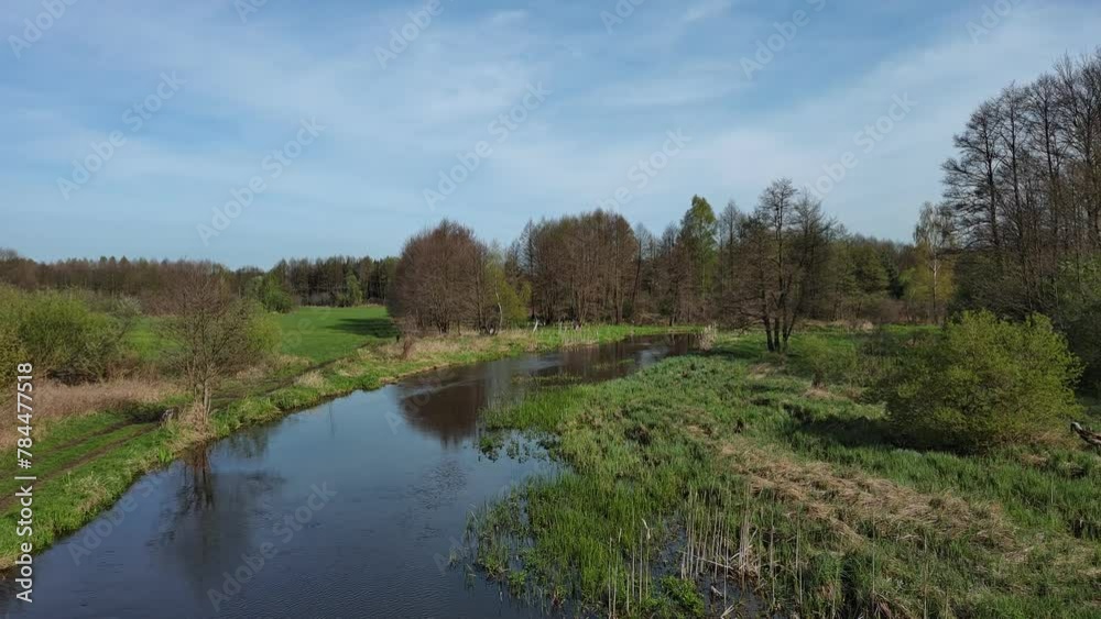 A small wild river in central Poland. A small wild river in central Poland.
