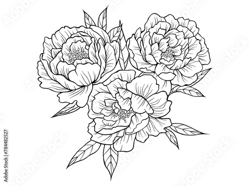 Bouquet of peonies. Peonies drawn using sketch technique. Three peonies hand drawn outline isolated on transparent background