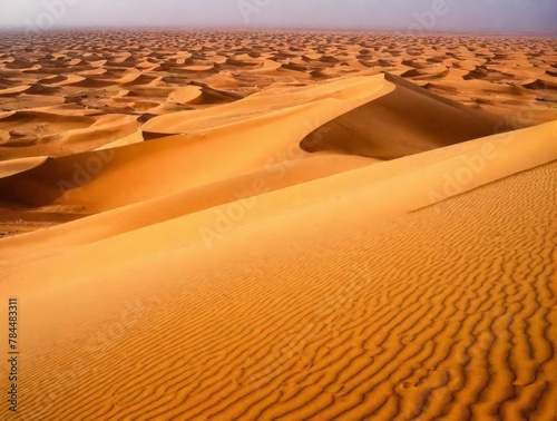 sand dunes in the desert