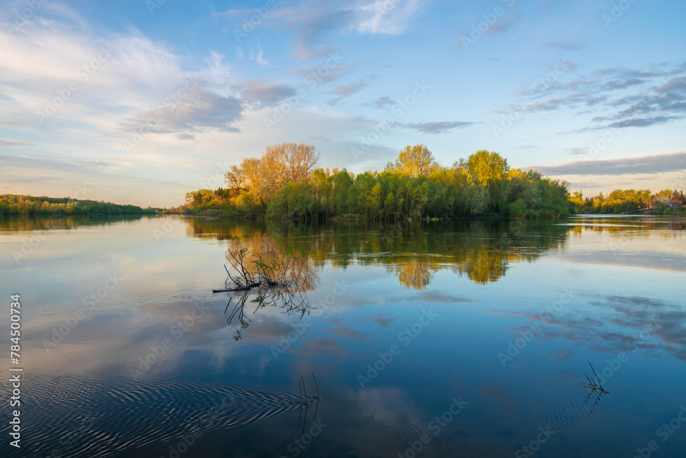 Obraz premium spring trees reflected in water