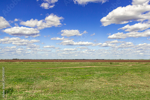 Foto Felder in Vojvodina
