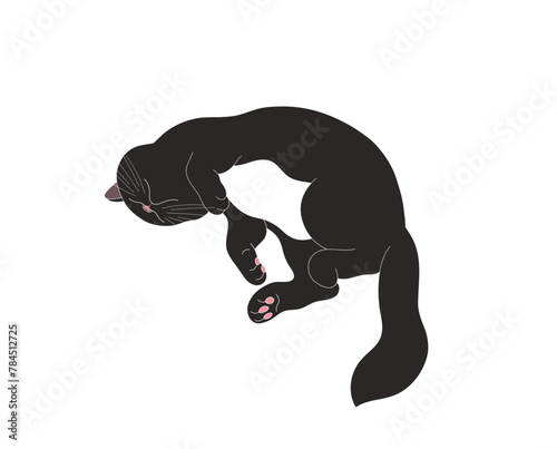 Drawing of a sleeping cute cat, art of a black fat cat.