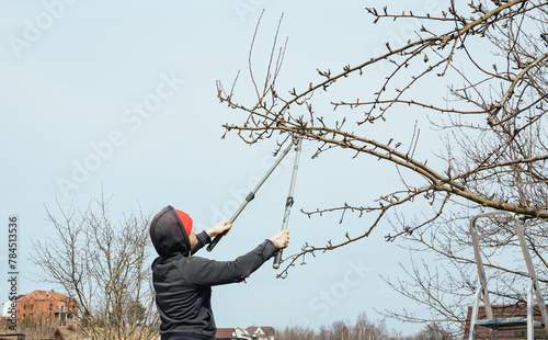 A gardener prunes a branch of tree. Secateurs, gardening scissors - cut tool. Side view. The man hands are cutting off a twig close-up. Garden care. Season of gardening work. DIY. 4k video