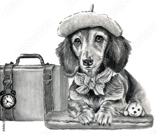 Ritratto a grafite di cane bassotto con una valigia, illustrazione isolata su sfondo bianco photo