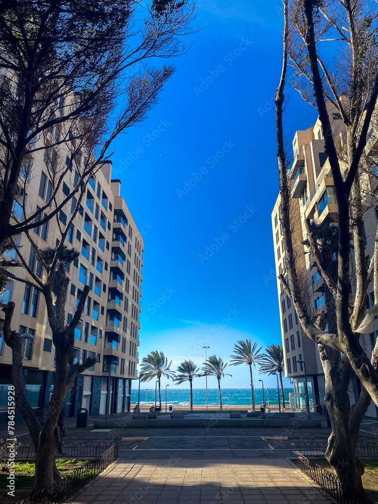 Obraz premium park country